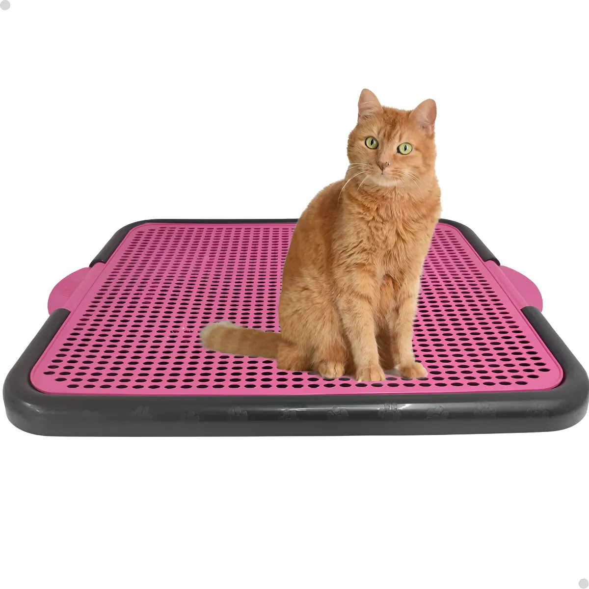 Bandeja Coletora De Areia Para Gato Tapete Coletor Gato 55cm — 1