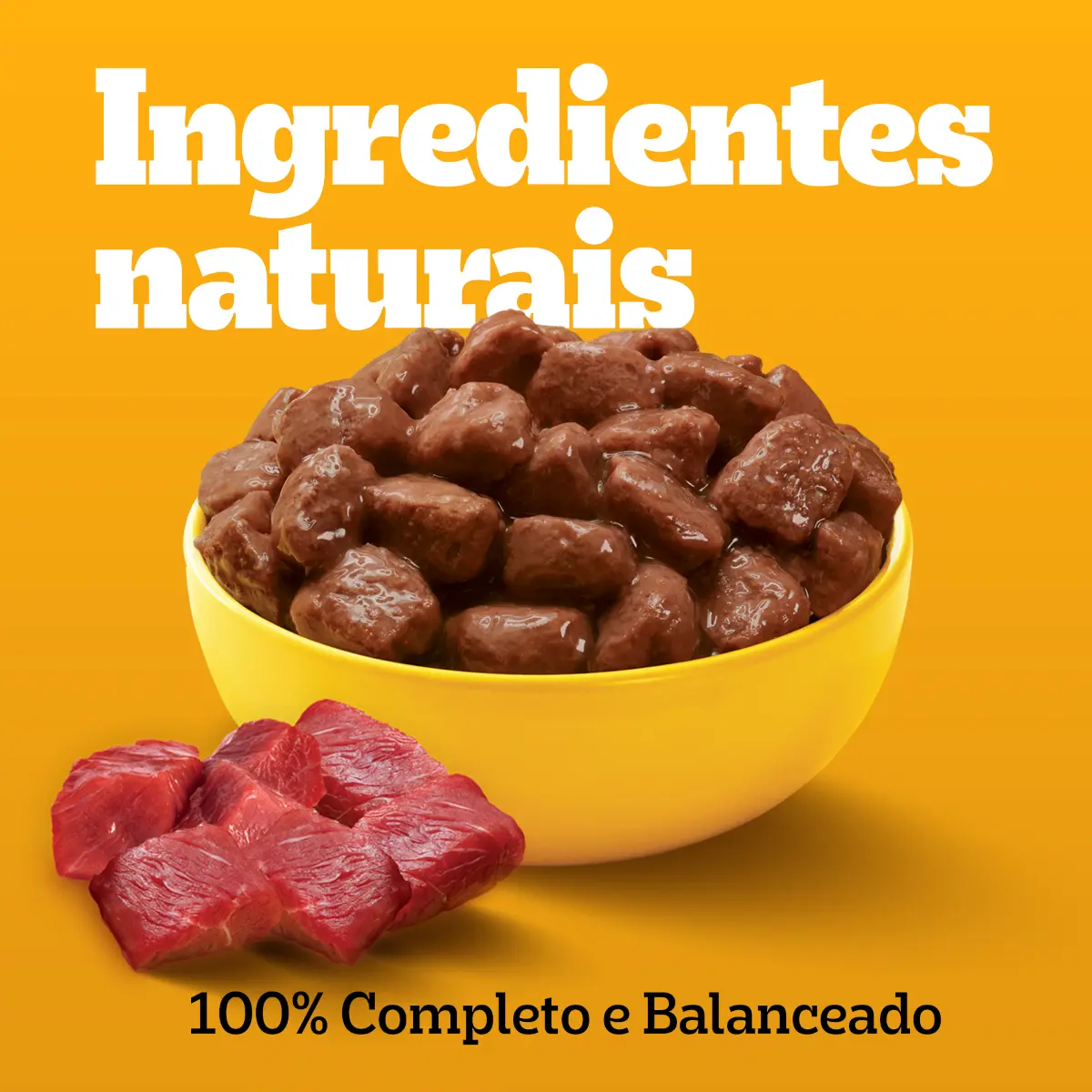 Ração Úmida Pedigree para Cães Adultos Raças Pequenas Sachês Carne 100g - Caixa com 18 unidades — 3