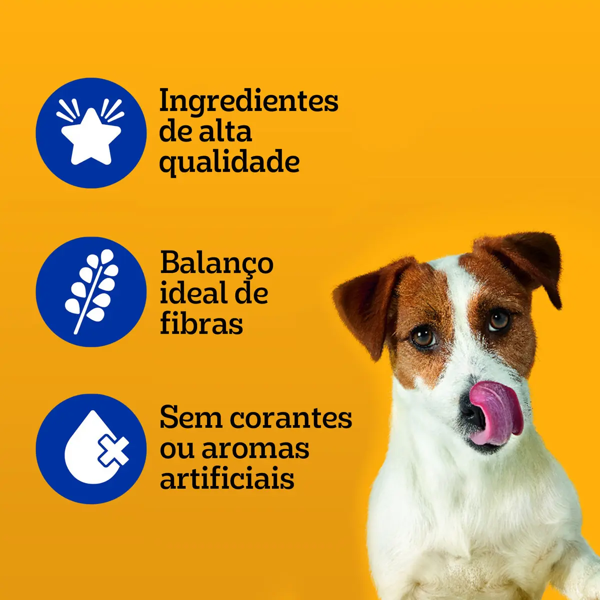 Ração Úmida Pedigree para Cães Adultos Raças Pequenas Sachês Carne 100g - Caixa com 18 unidades — 2