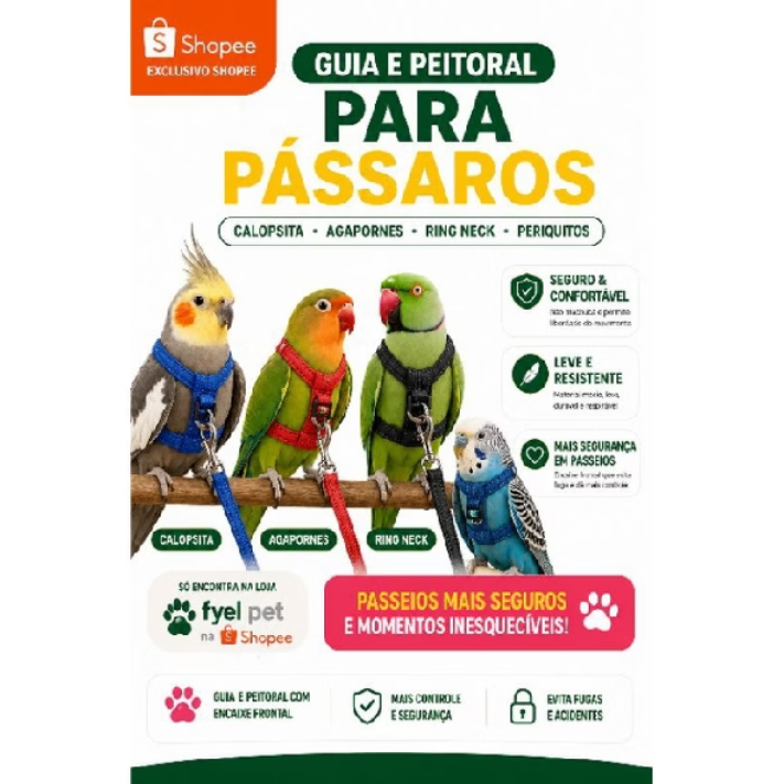 Coleira para Calopsita — 1