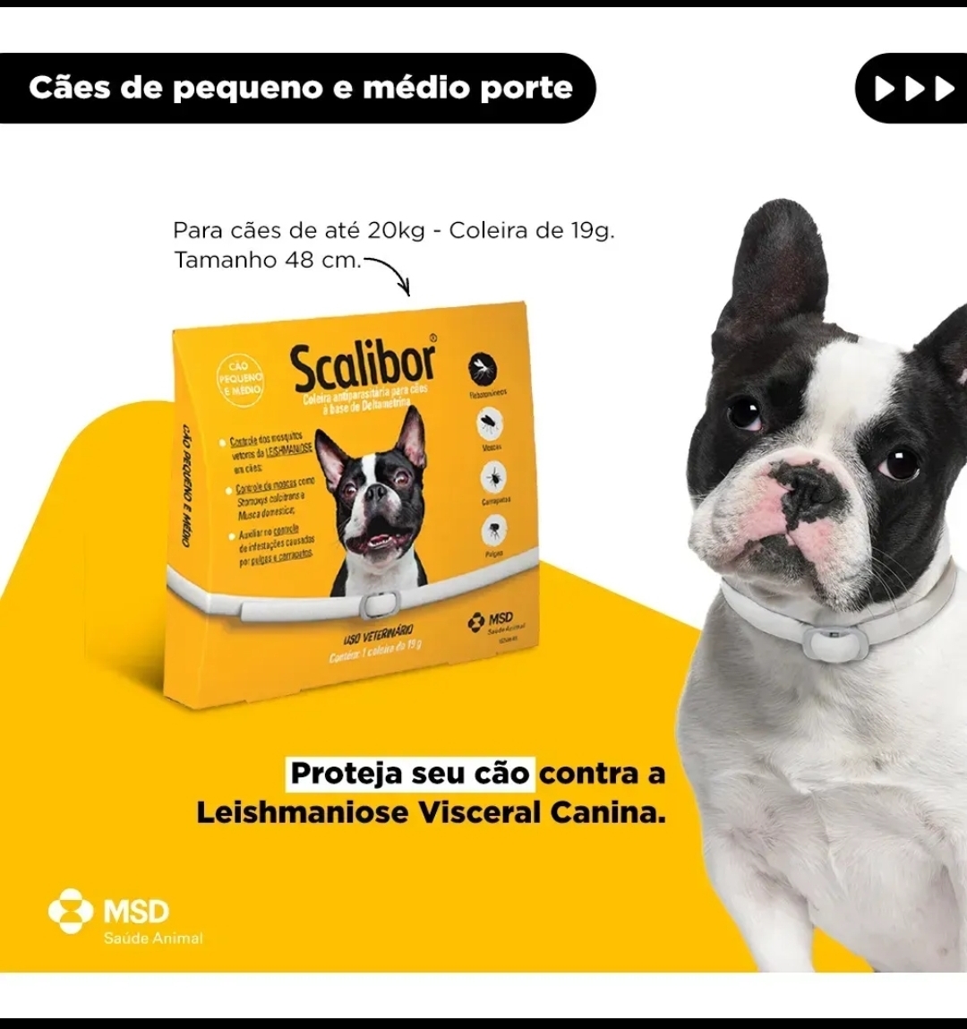 Coleira Antiparasitária cães Pequenos e médio porte Scalibor 48cm Cães Pulgas Carrapatos MSD — 1
