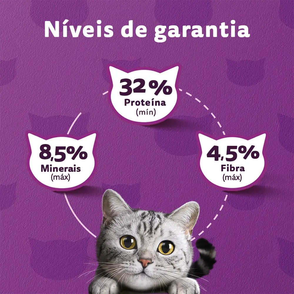 Ração Whiskas Premium Gatos Adultos Castrados Carne 10,1 Kg — 4