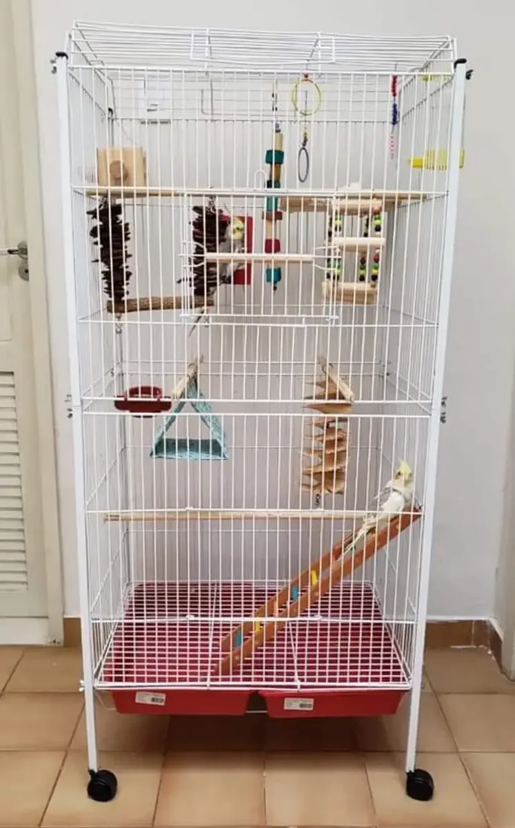 Viveiro Calopsita - Papagaio - Ringneck Com Escadinha Brinde — 2